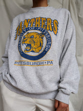 Load image into Gallery viewer, "PANTHERS" Sweater