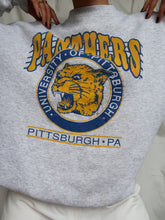 Load image into Gallery viewer, "PANTHERS" Sweater